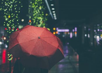 umbrella-801918_1920.jpg